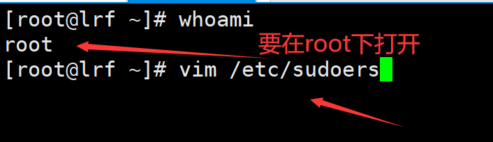 image-20220404165116197