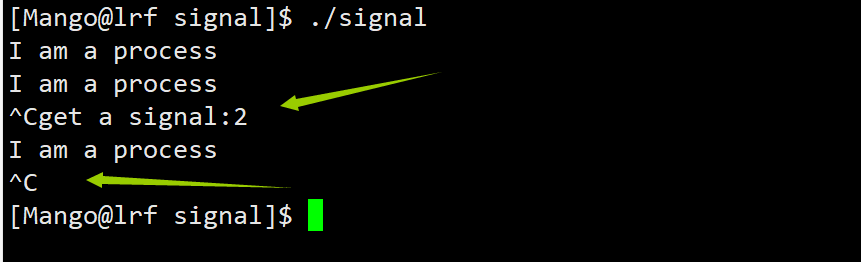【Linux】信号的捕捉