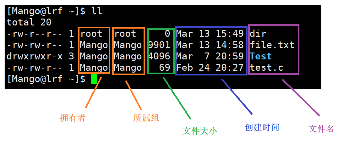 image-20220313155246217