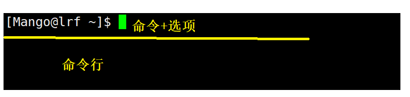 image-20220313192231410
