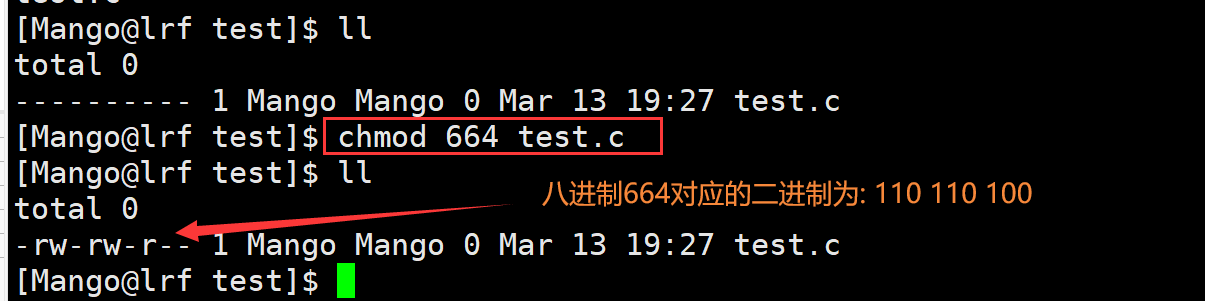 image-20220313194216612