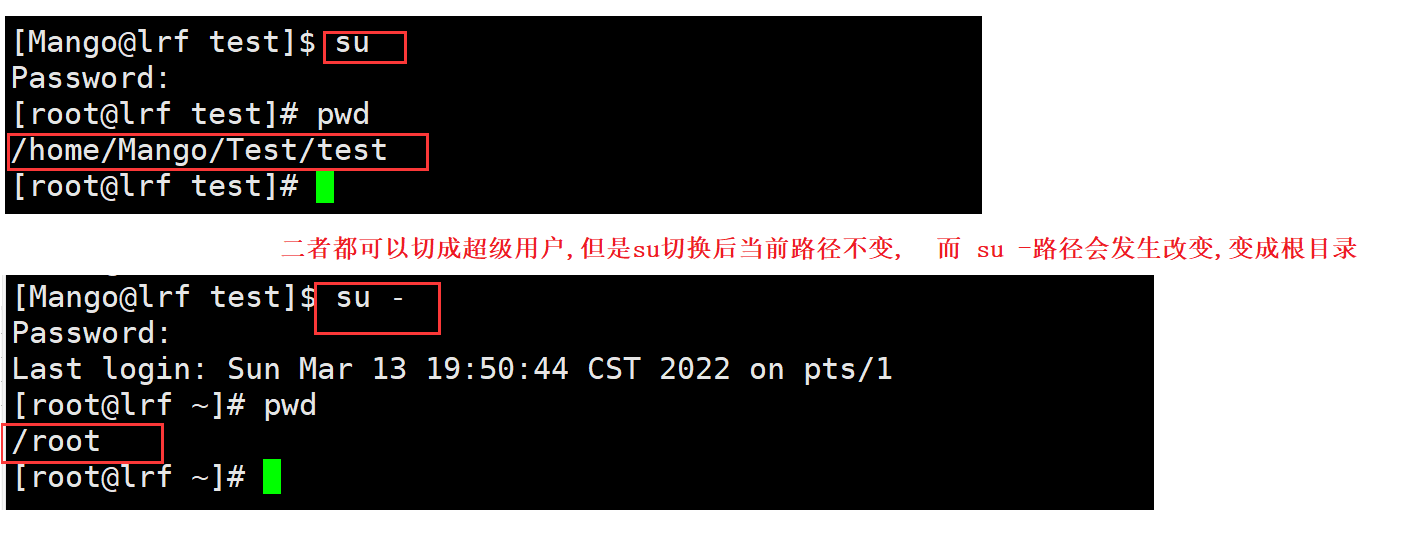 image-20220313195146994